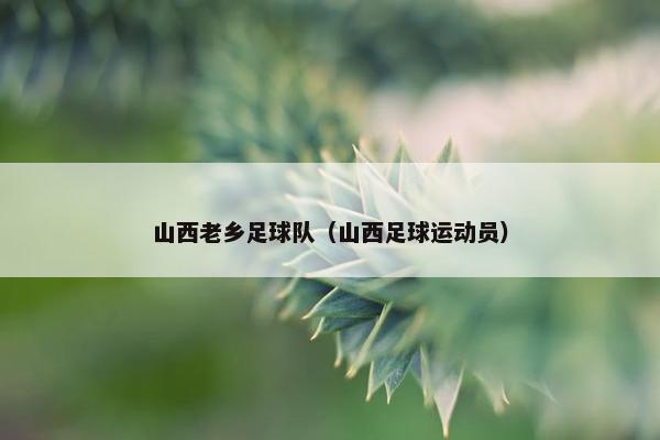 山西老乡足球队（山西足球运动员）