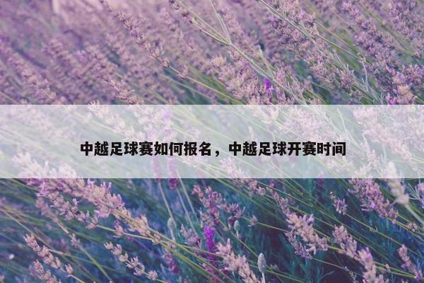 中越足球赛如何报名，中越足球开赛时间