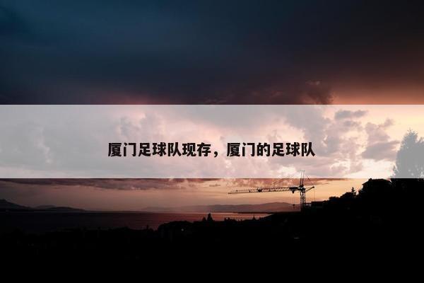厦门足球队现存，厦门的足球队