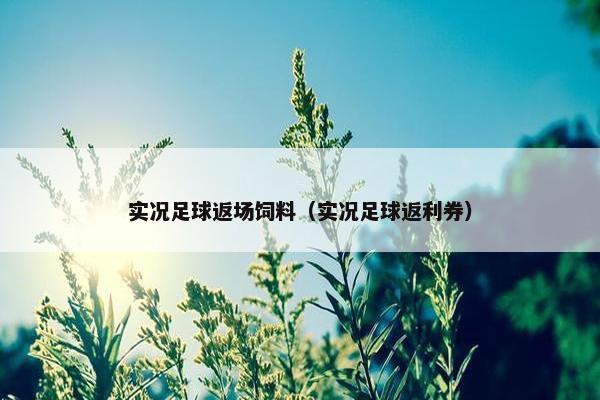 实况足球返场饲料（实况足球返利券）