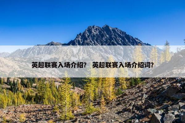 英超联赛入场介绍？ 英超联赛入场介绍词？