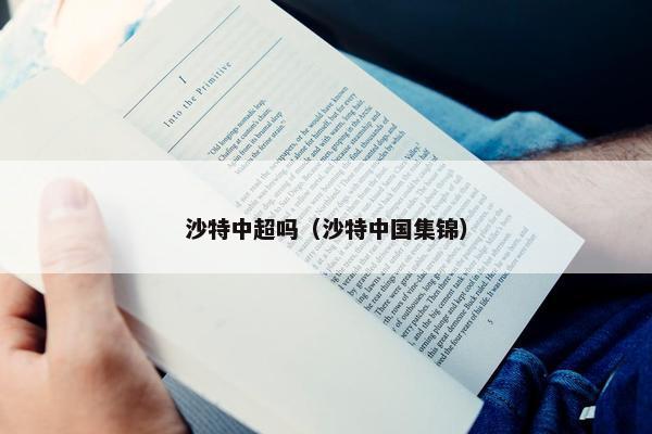 沙特中超吗（沙特中国集锦）
