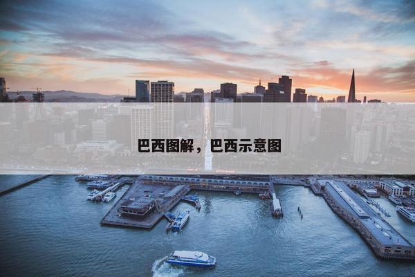 巴西图解，巴西示意图