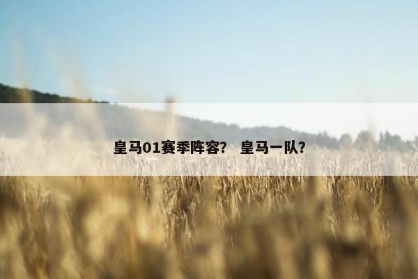 皇马01赛季阵容？ 皇马一队？