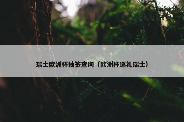 瑞士欧洲杯抽签查询（欧洲杯巡礼瑞士）