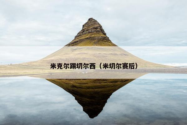 米克尔踢切尔西（米切尔赛后）