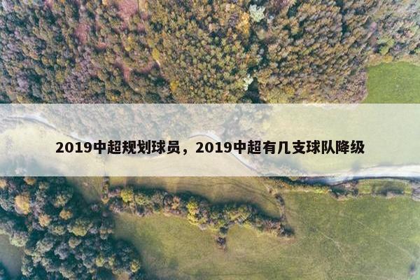 2019中超规划球员，2019中超有几支球队降级