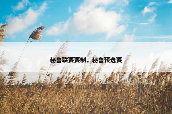 秘鲁联赛赛制，秘鲁预选赛