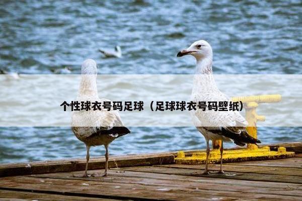 个性球衣号码足球（足球球衣号码壁纸）