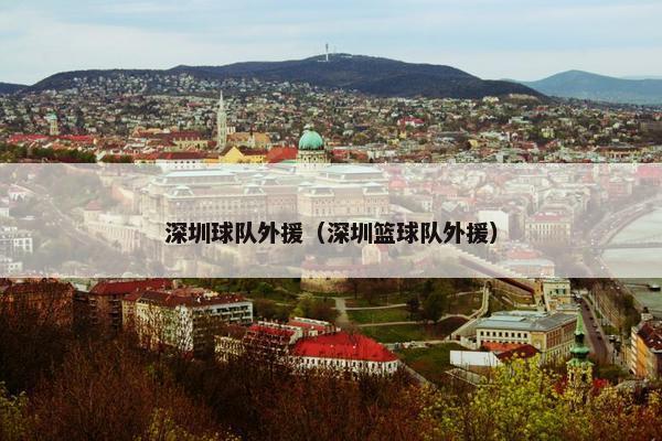 深圳球队外援（深圳篮球队外援）