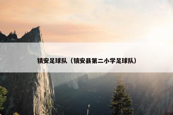 镇安足球队（镇安县第二小学足球队）