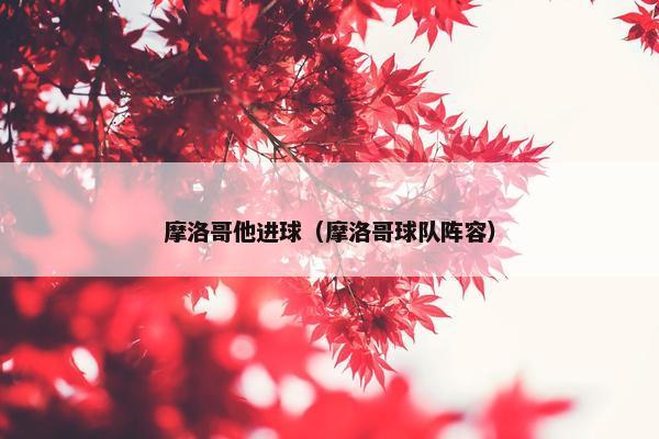 摩洛哥他进球（摩洛哥球队阵容）