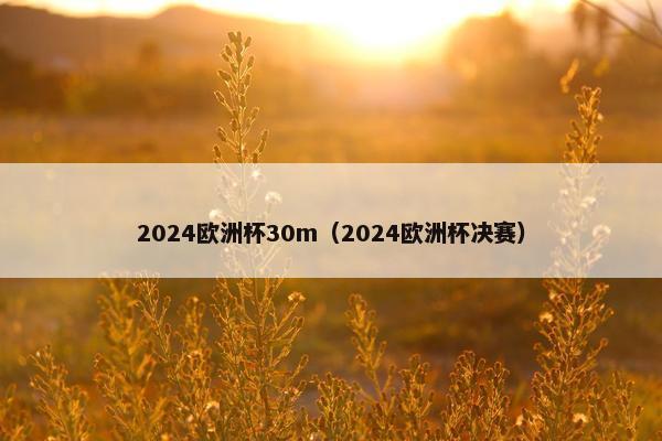 2024欧洲杯30m（2024欧洲杯决赛）