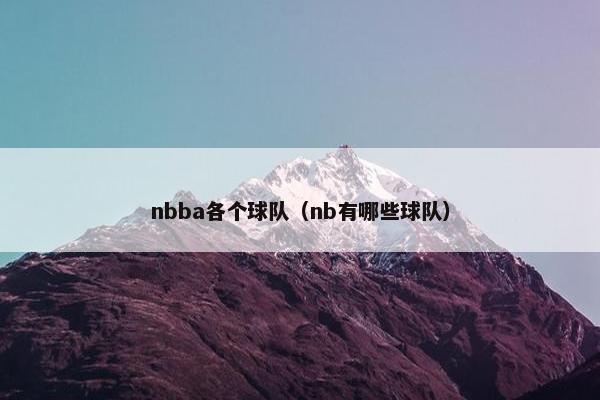 nbba各个球队（nb有哪些球队）