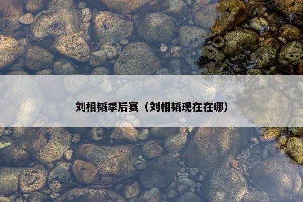 刘相韬季后赛（刘相韬现在在哪）