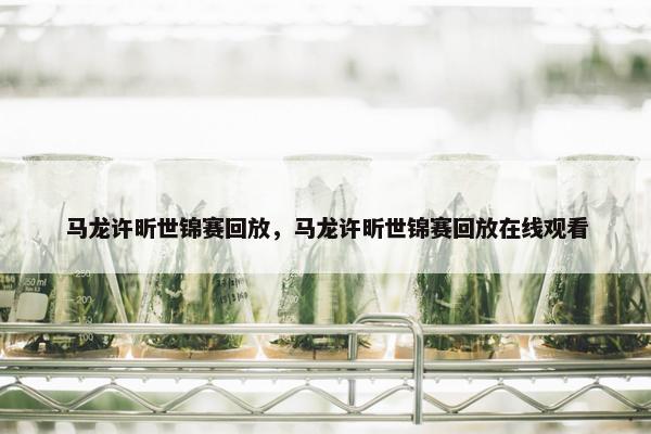 马龙许昕世锦赛回放，马龙许昕世锦赛回放在线观看