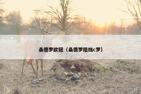 桑德罗欧冠（桑德罗阻挡c罗）