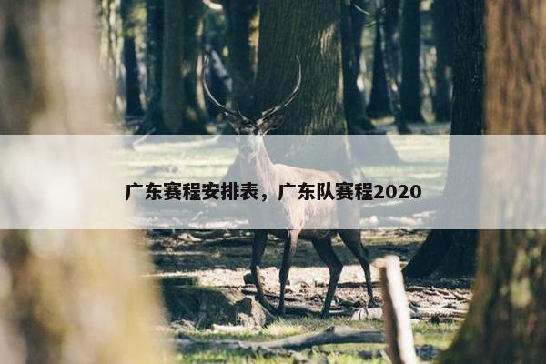 广东赛程安排表，广东队赛程2020