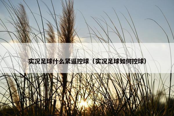实况足球什么紧逼控球（实况足球如何控球）