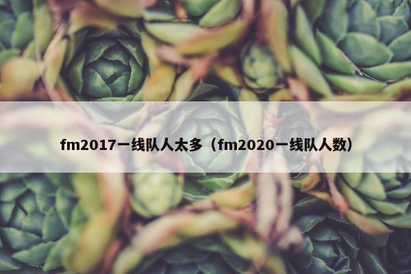 fm2017一线队人太多（fm2020一线队人数）