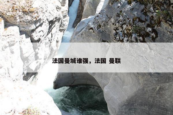 法国曼城谁强，法国 曼联