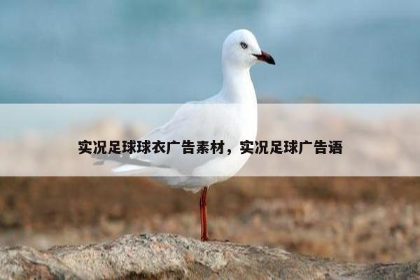 实况足球球衣广告素材，实况足球广告语