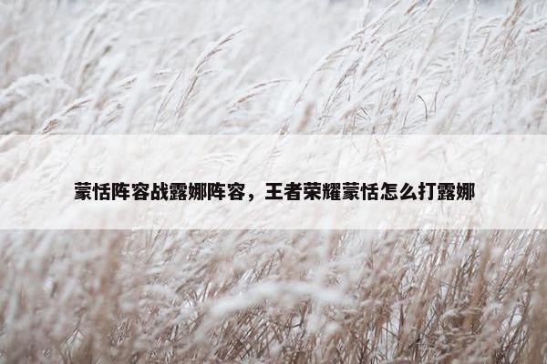 蒙恬阵容战露娜阵容，王者荣耀蒙恬怎么打露娜