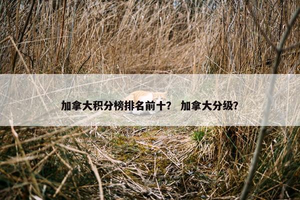 加拿大积分榜排名前十？ 加拿大分级？