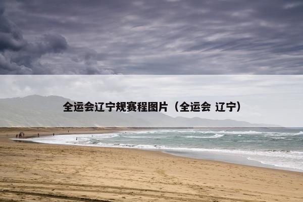 全运会辽宁规赛程图片（全运会 辽宁）