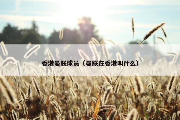 香港曼联球员（曼联在香港叫什么）