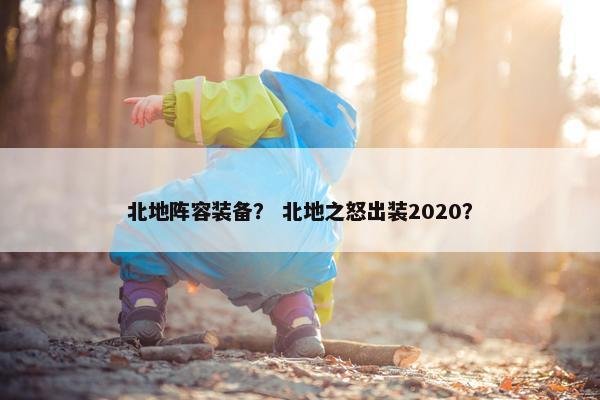 北地阵容装备？ 北地之怒出装2020？