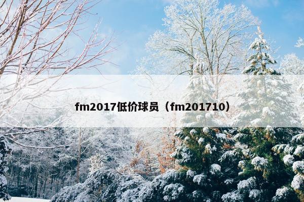 fm2017低价球员（fm201710）