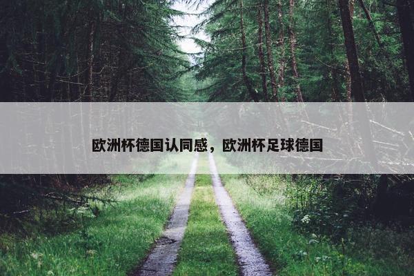 欧洲杯德国认同感，欧洲杯足球德国