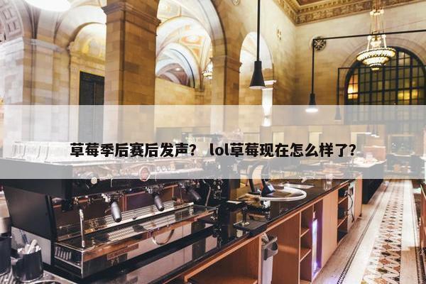 草莓季后赛后发声？ lol草莓现在怎么样了？