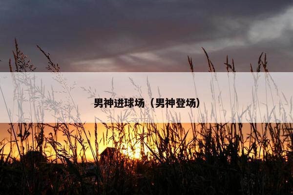 男神进球场（男神登场）