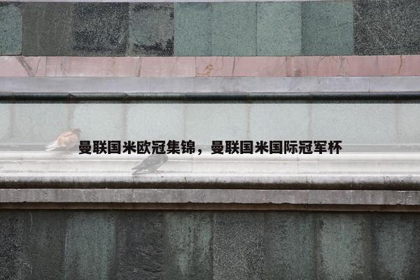 曼联国米欧冠集锦，曼联国米国际冠军杯