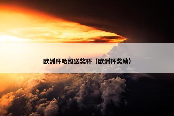 欧洲杯哈维送奖杯（欧洲杯奖励）