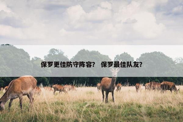 保罗更佳防守阵容？ 保罗最佳队友？