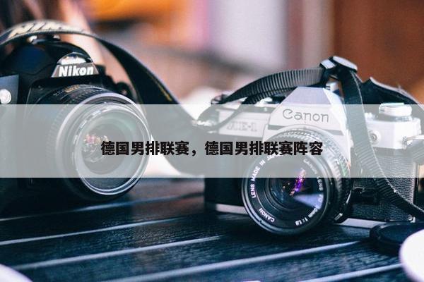 德国男排联赛，德国男排联赛阵容