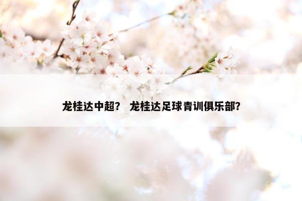 龙桂达中超？ 龙桂达足球青训俱乐部？