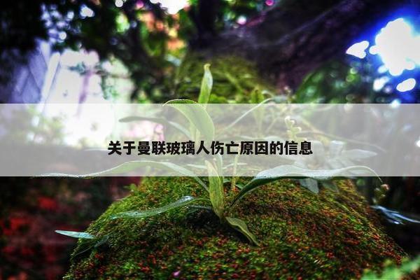 关于曼联玻璃人伤亡原因的信息