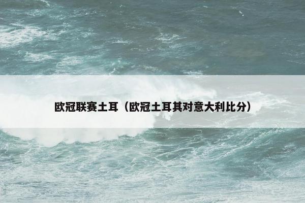 欧冠联赛土耳（欧冠土耳其对意大利比分）