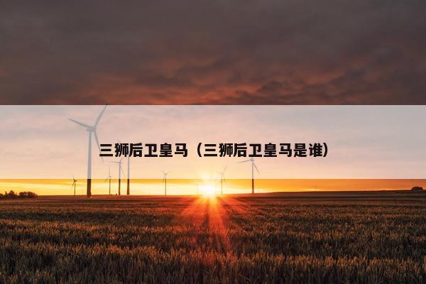 三狮后卫皇马（三狮后卫皇马是谁）