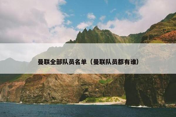 曼联全部队员名单（曼联队员都有谁）