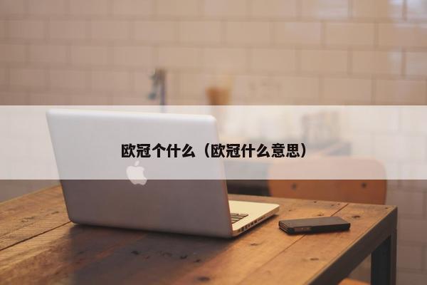 欧冠个什么（欧冠什么意思）