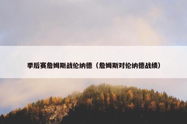 季后赛詹姆斯战伦纳德（詹姆斯对伦纳德战绩）