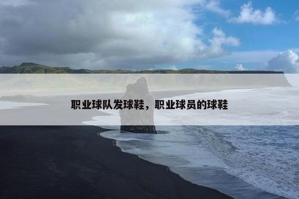 职业球队发球鞋，职业球员的球鞋