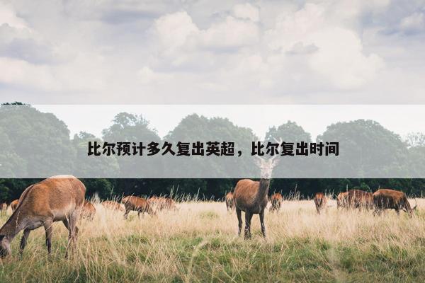 比尔预计多久复出英超，比尔复出时间