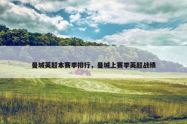 曼城英超本赛季排行，曼城上赛季英超战绩