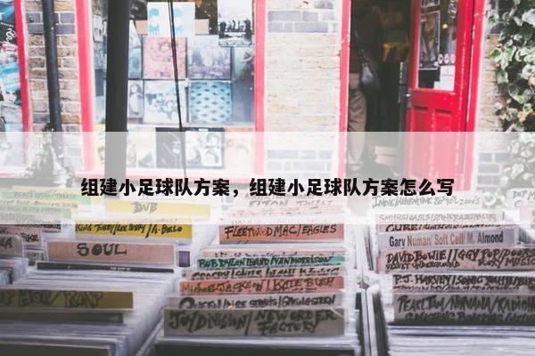 组建小足球队方案，组建小足球队方案怎么写